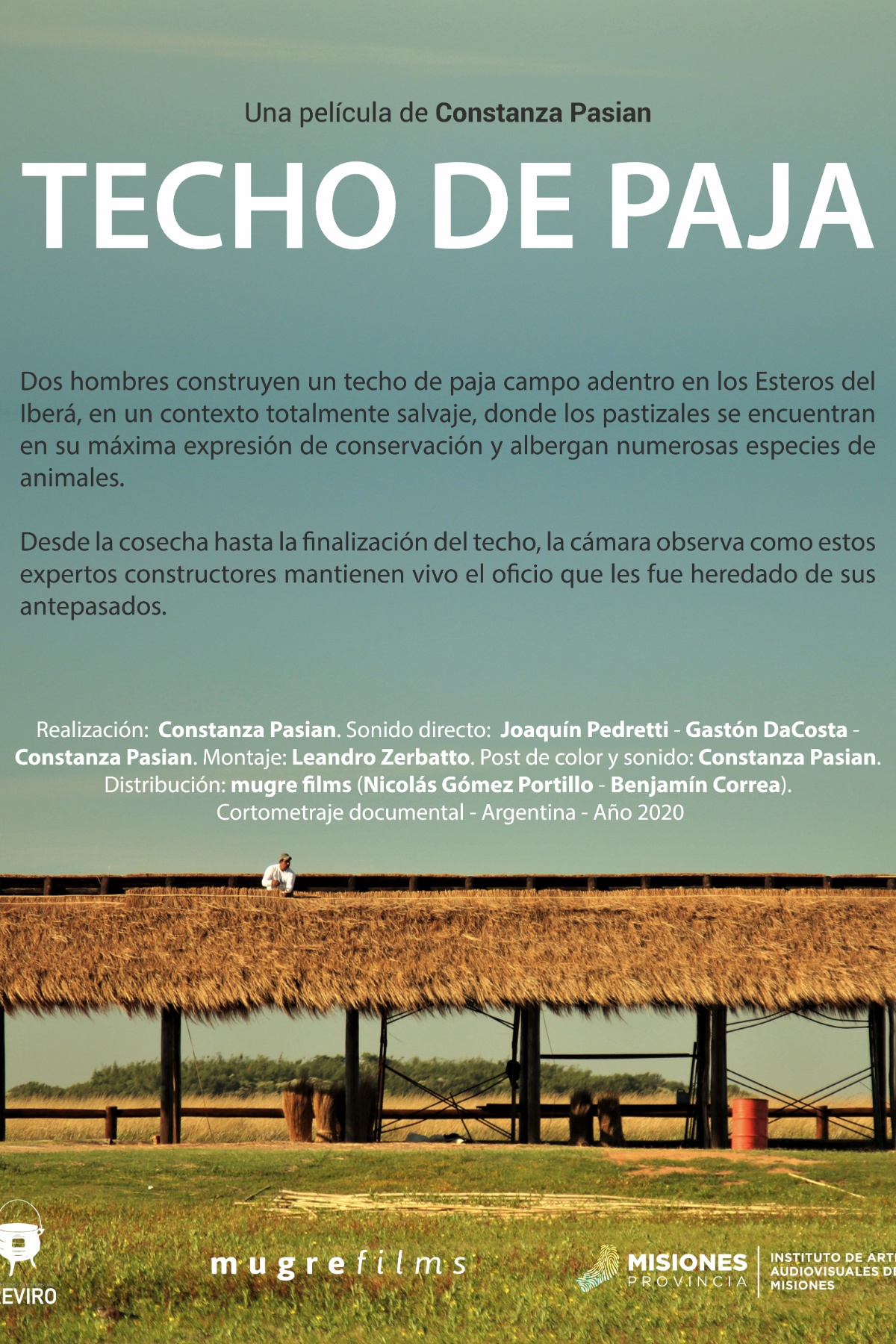TECHO DE PAJA
